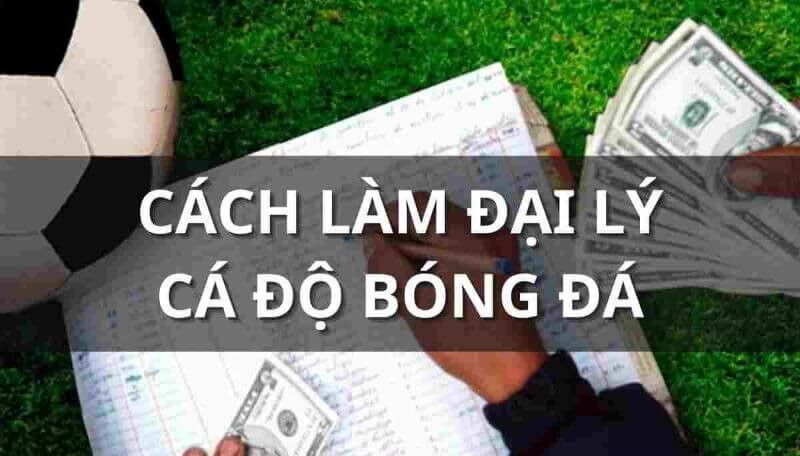 Đại lý nhà cái là gì và điều kiện làm