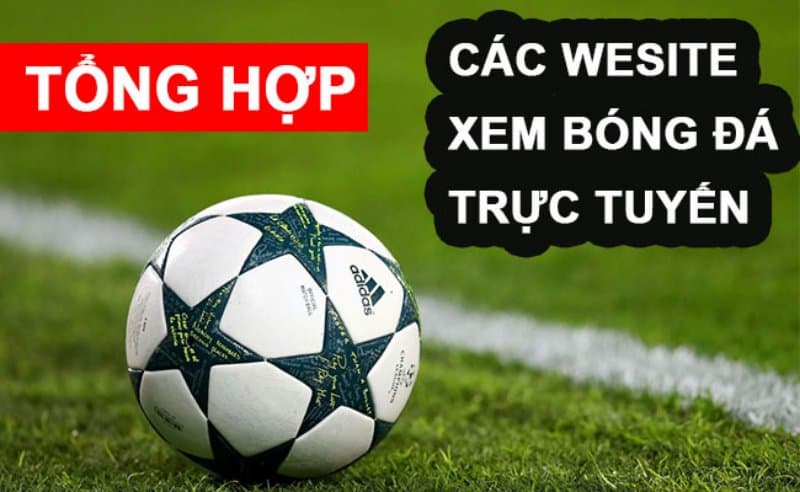 Top 5 trang xem trực tiếp bóng đá nhất hiện nay